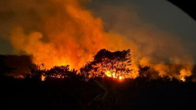 Kebakaran hutan dan lahan (karhutla) di Kalimantan Timur (Kaltim)